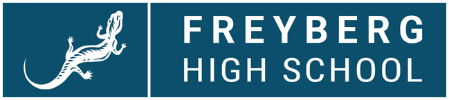 Freyberg High School